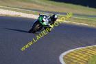Lauer-Foto Racer 1329
