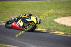 Lauer-Foto Racer 1401