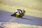 Lauer-Foto Racer 1405