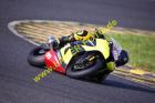 Lauer-Foto Racer 1416