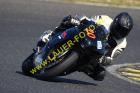 Lauer-Foto Racer 282