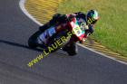 Lauer-Foto Racer 435