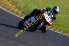 Lauer-Foto Racer 436
