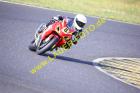 Lauer-Foto Racer 73