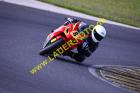 Lauer-Foto Racer 85